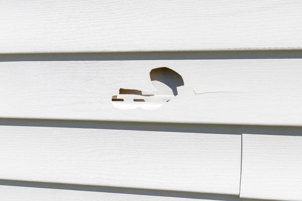 Siding for Commercial Buildings in Lutherville, MD